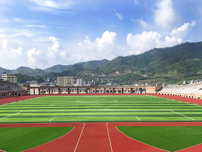 足球場(chǎng)人造草坪