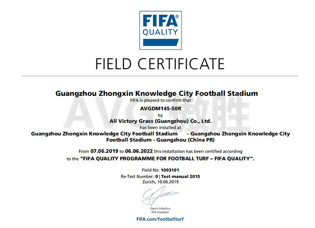 中新知識(shí)城FIFA證書(shū)